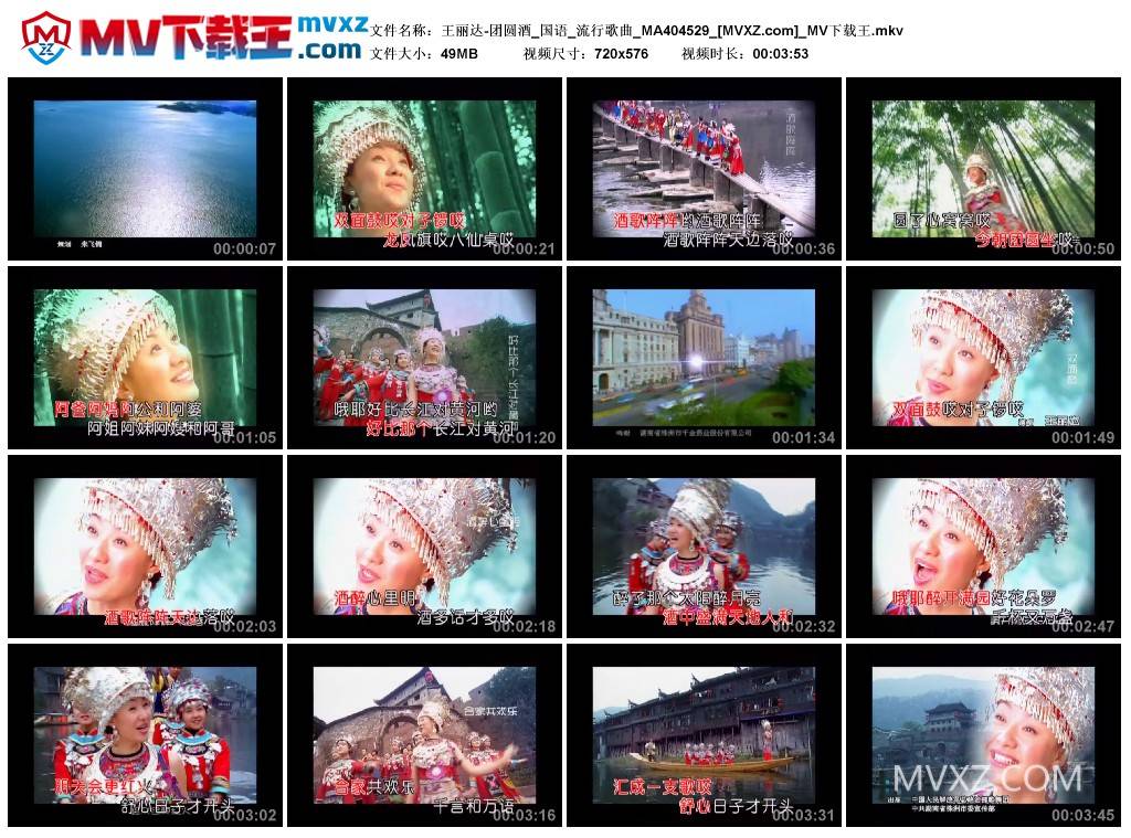 王丽达-团圆酒_国语_流行歌曲_MA404529